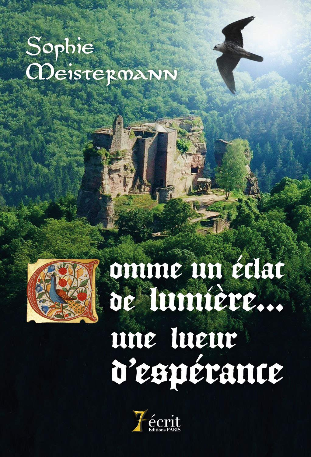 Comme un éclat de lumière: Une lueur d'espérance