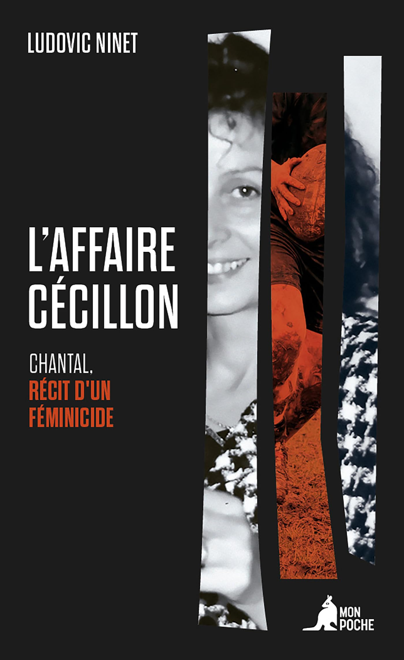 L'affaire Cécillon : Chantal, récit d'un féminicide