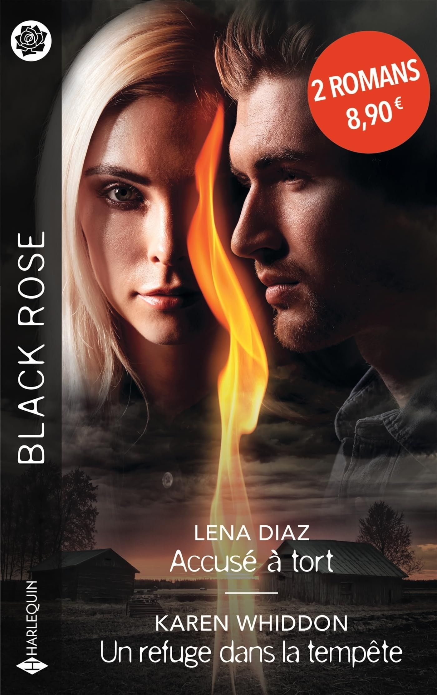 Accusé à tort. Un refuge dans la tempête