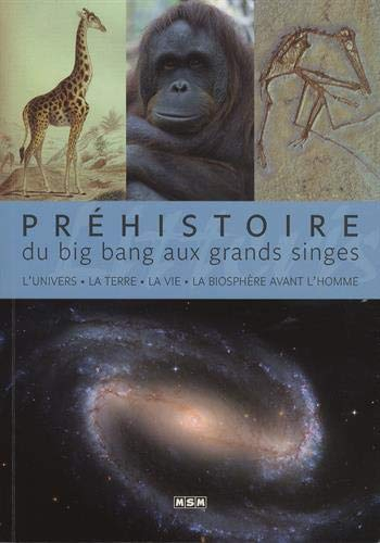 Préhistoire. Du big bang aux grands singes : l'Univers, la Terre, la vie, la biosphère avant l'homme