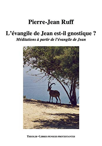 L'Evangile de Jean est-il gnostique ? : méditations à partir de l'Evangile de Jean