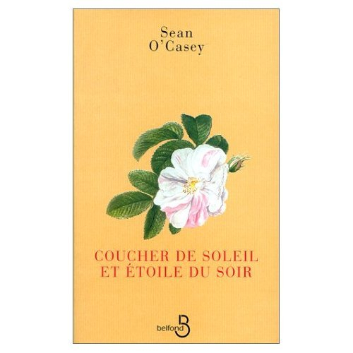 Coucher de soleil et étoile du soir