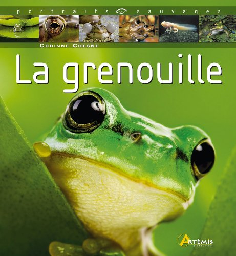 La grenouille