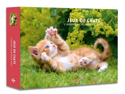 Jeux de chats : l'agenda-calendrier 2020
