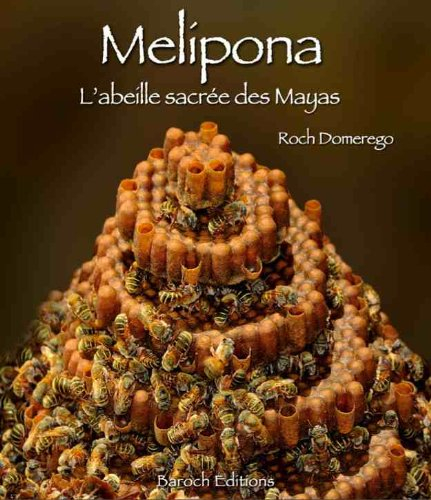 Melipona : l'abeille sacrée des Mayas