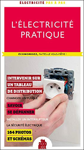 L'électricité pratique : économisez, faites-le vous-même ! : le tableau de distribution, changer un 