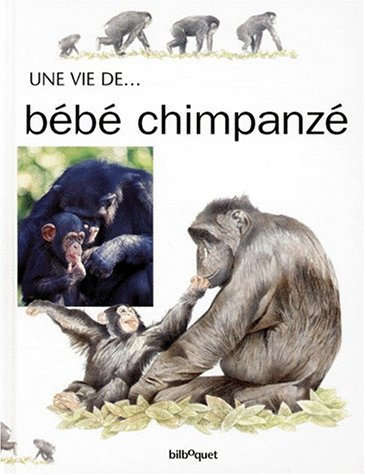 Bébé Chimpanzé