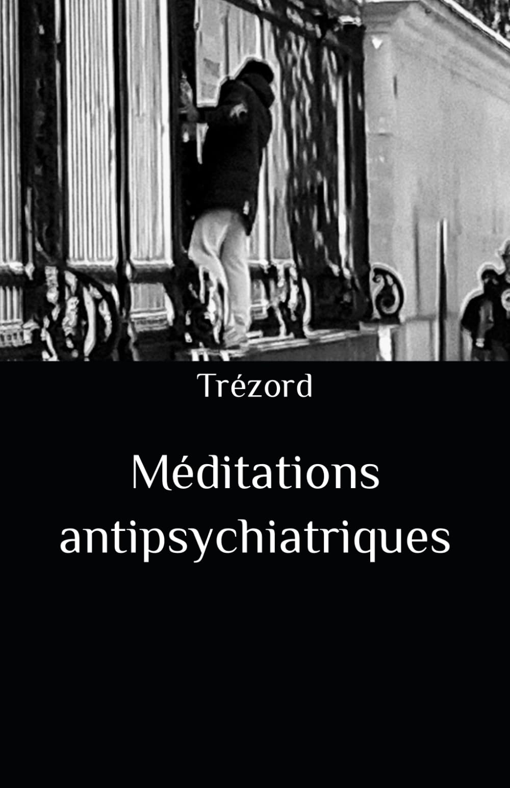 Méditations antipsychiatriques