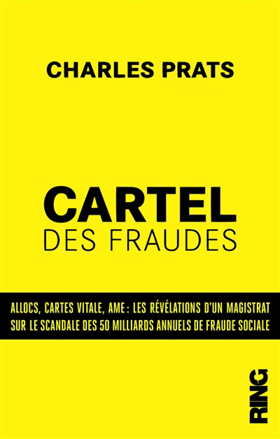 Cartel des fraudes. Allocs, cartes vitale, AME : les révélations d'un magistrat sur le scandale des 
