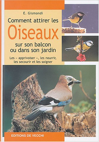 Comment attirer les oiseaux sur son balcon ou dans son jardin