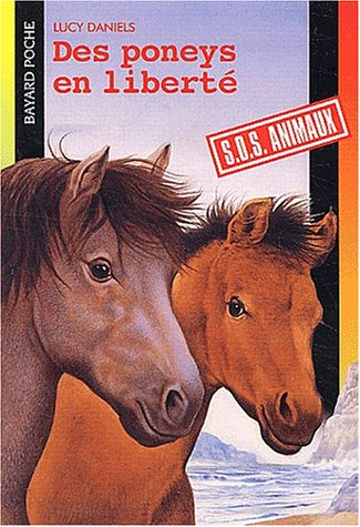 Des poneys en liberté