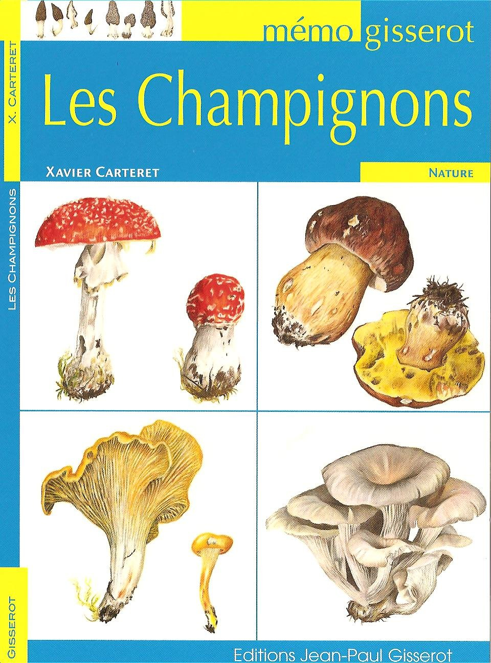 Les champignons