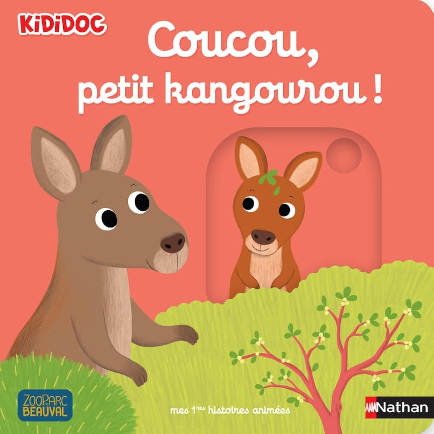 Coucou, petit kangourou !