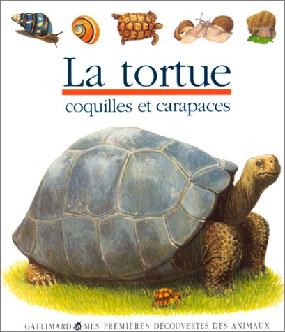 La tortue