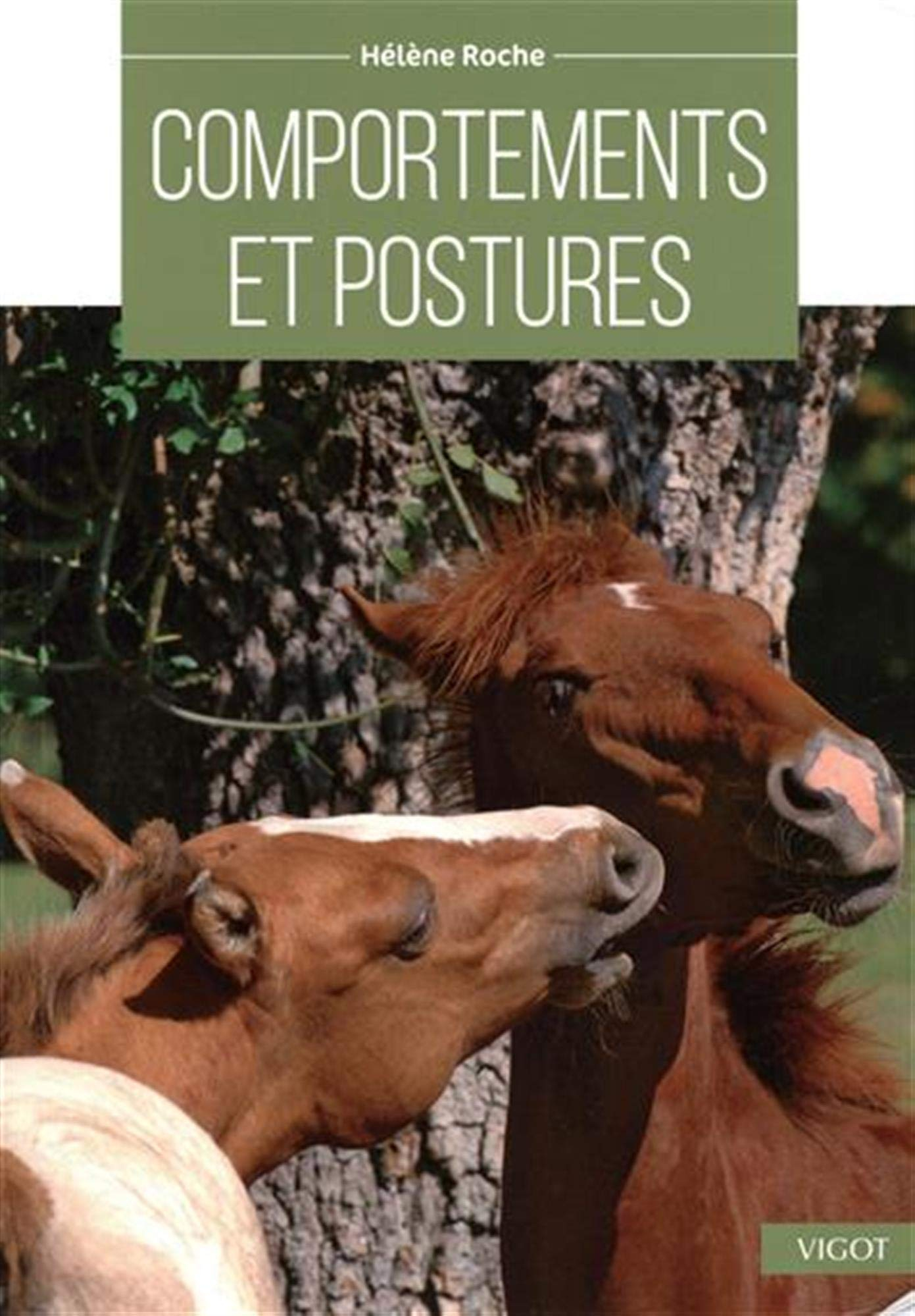 Comportements et postures