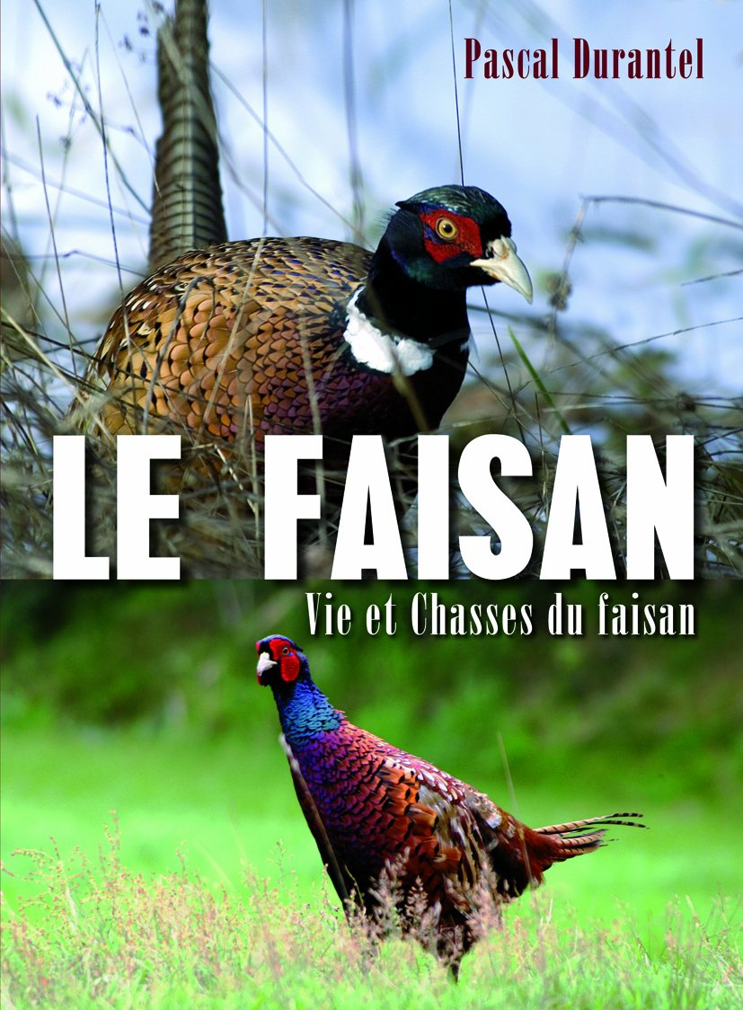 Le faisan : vie et chasses du faisan