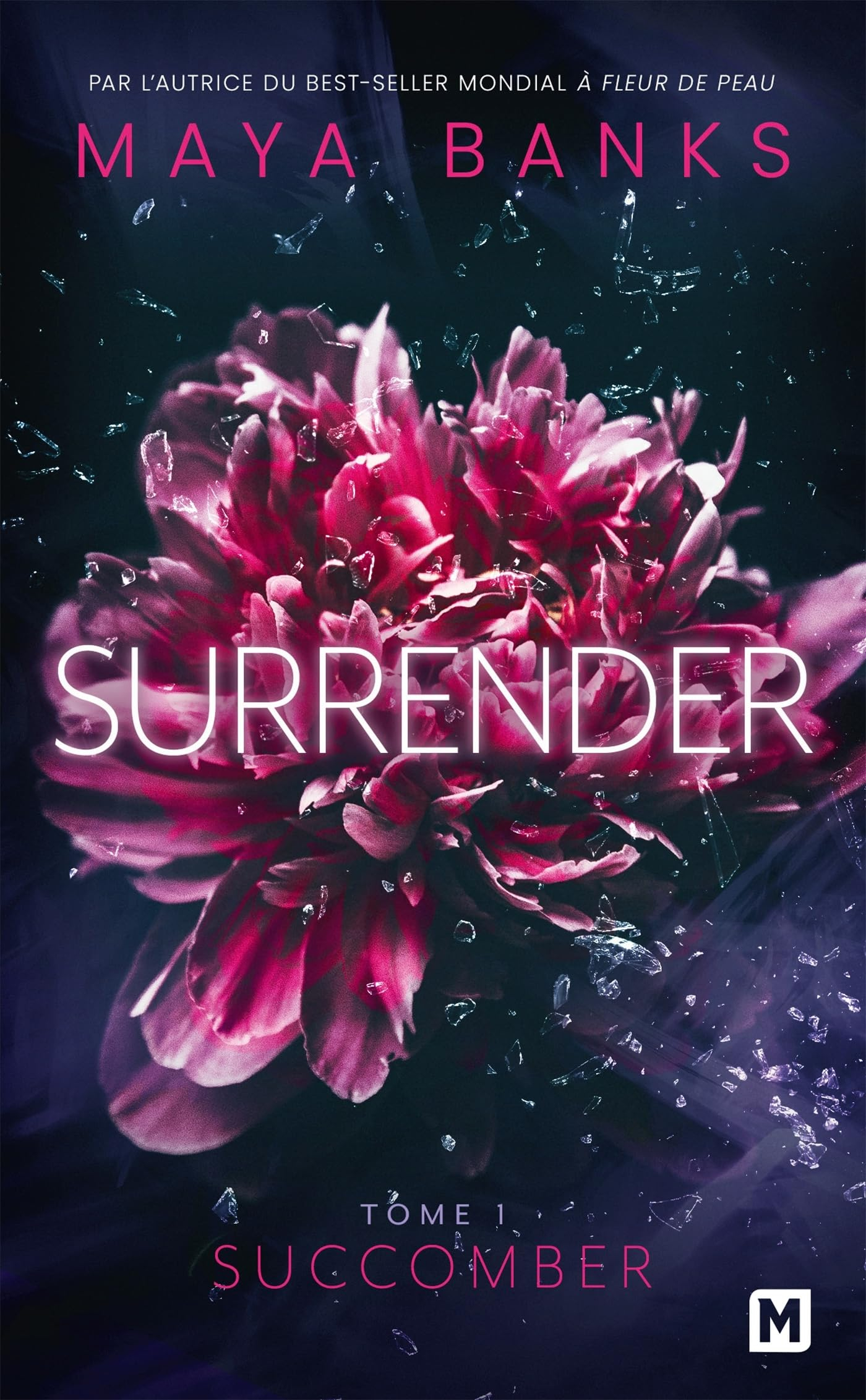 Surrender. Vol. 1. Succomber