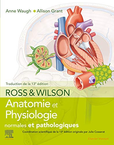 Anatomie et physiologie normales et pathologiques
