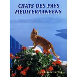 Chats des pays méditerranéens