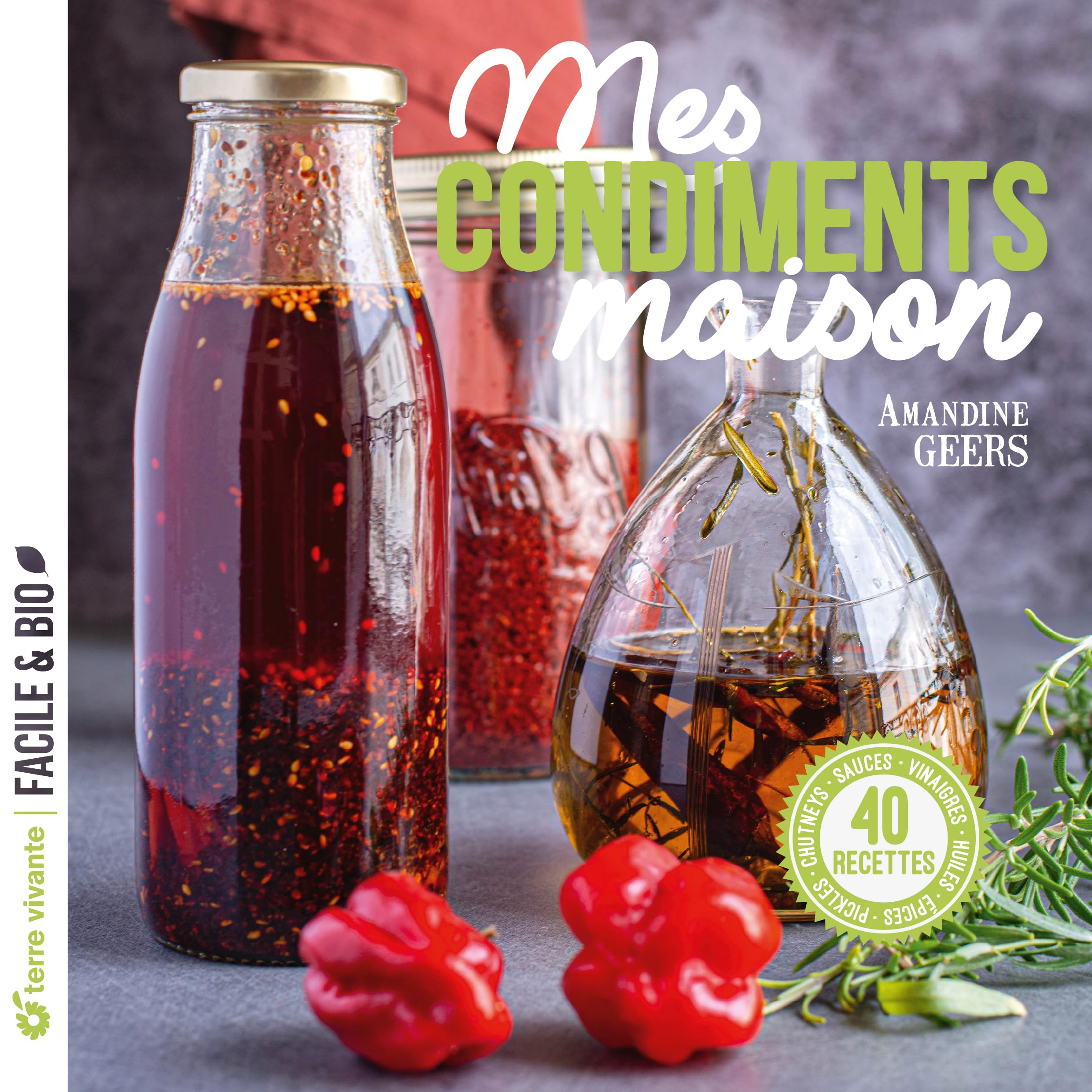 Mes condiments maison : 45 recettes