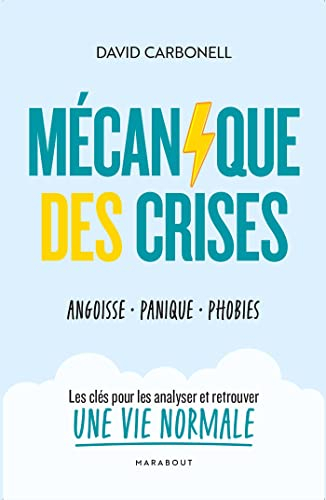 Mécanique des crises : angoisse, panique, phobies : les clés pour les analyser et retrouver une vie 