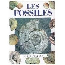 Les fossiles