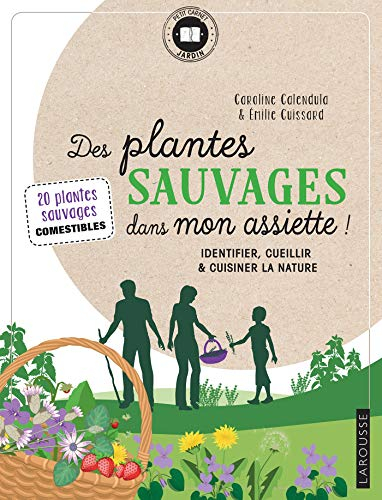 Des plantes sauvages dans mon assiette ! : identifier, cueillir & cuisiner la nature : 20 plantes sa