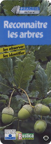 Reconnaître les arbres : les observer, les identifier