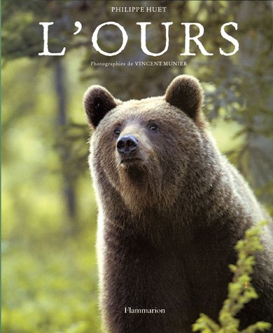 L'ours