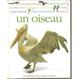 Qui suis-je ? : un oiseau