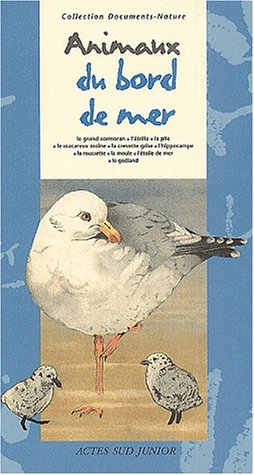 Les animaux du bord de mer