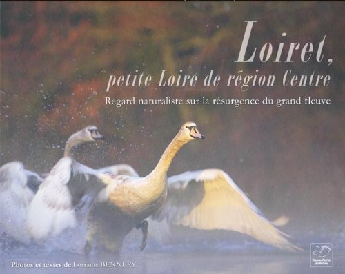 loiret, petite loire de region centre