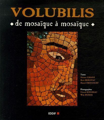 Volubilis : de mosaïque à mosaïque