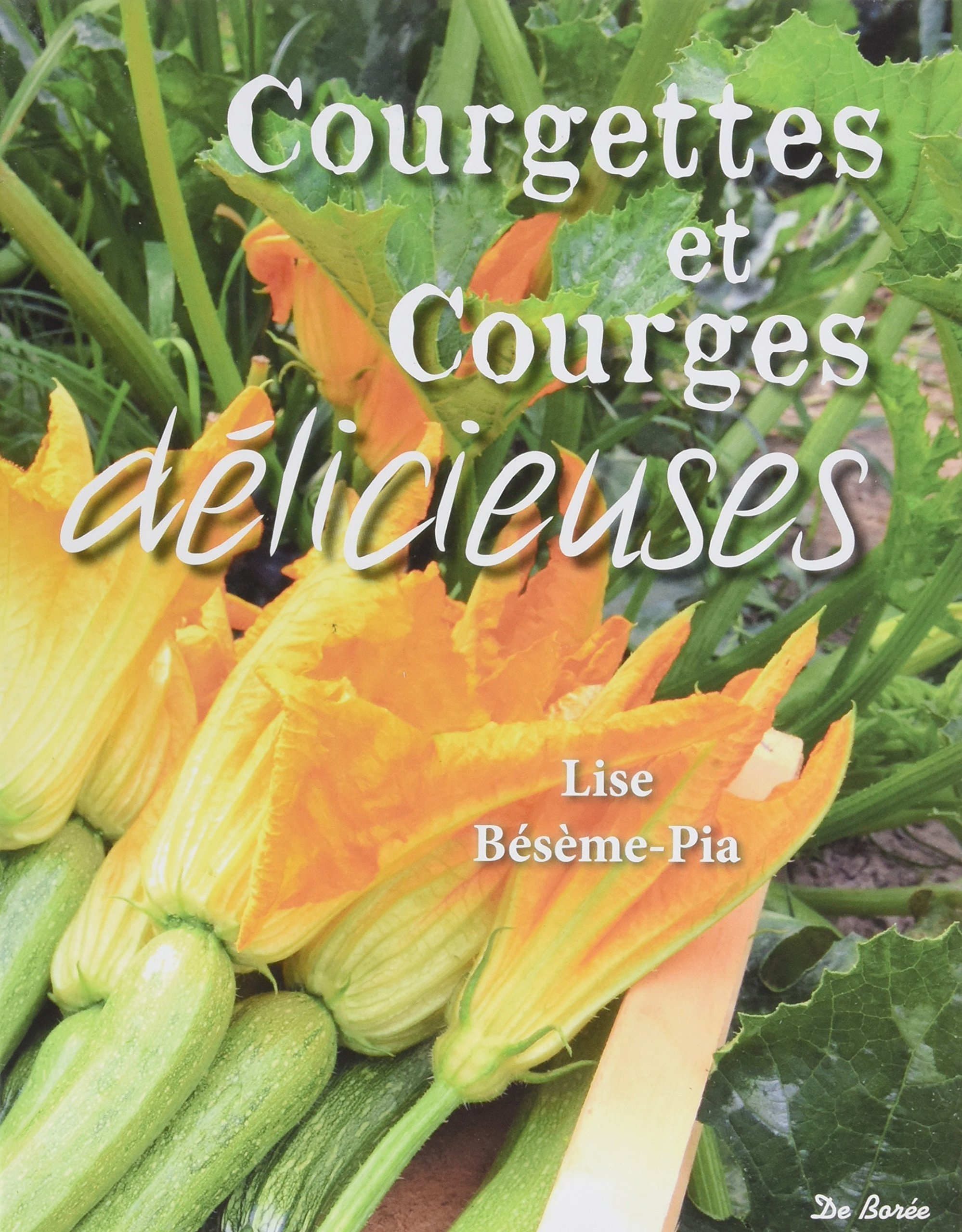 Courgettes et courges délicieuses