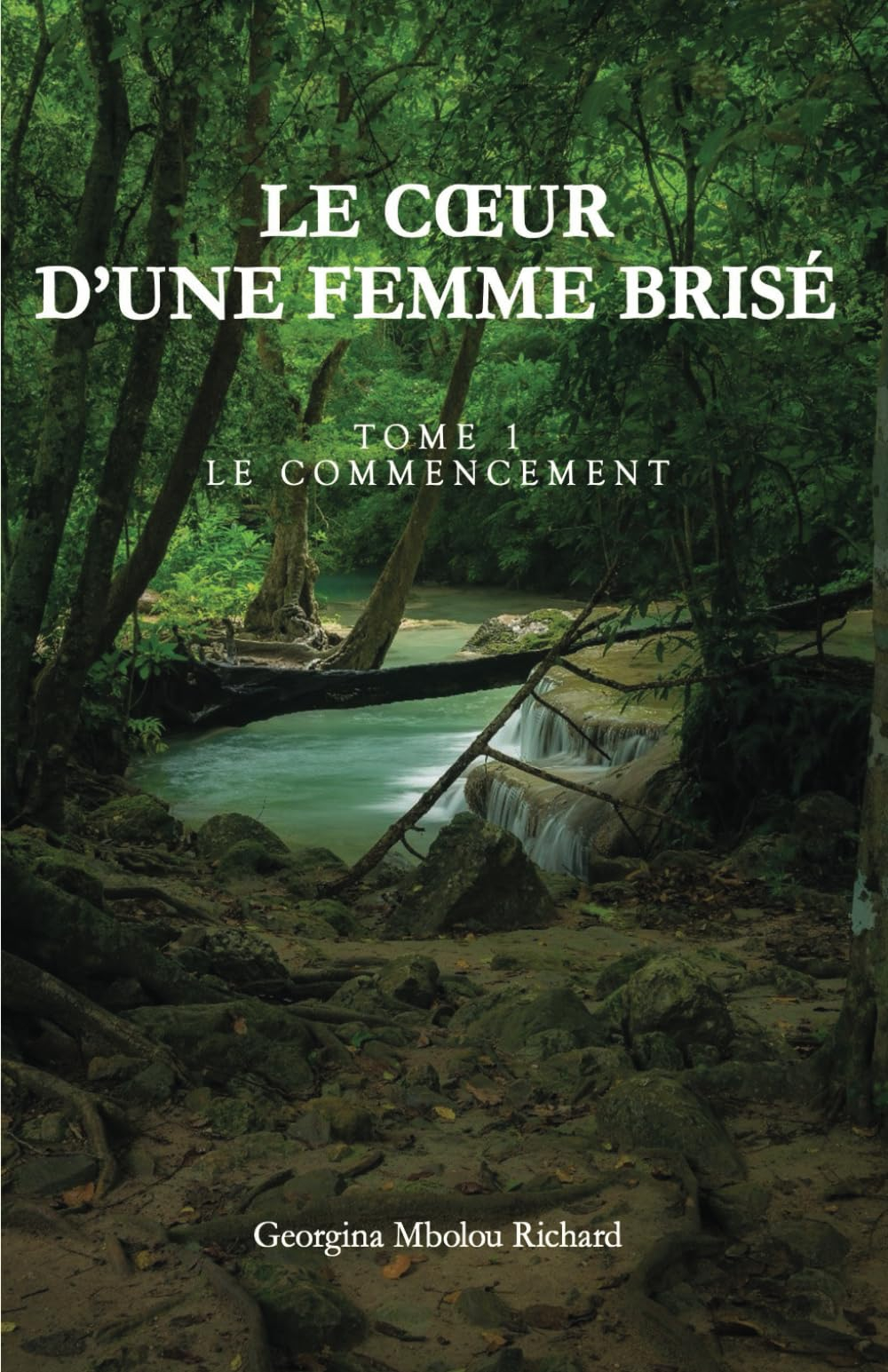 Le cœur d’une femme brisé: Le Commencement - Tome 1