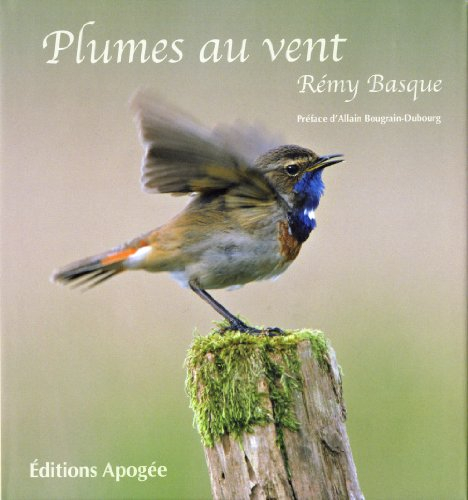 Plumes au vent