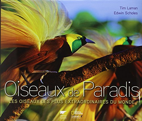 Oiseaux de paradis : les oiseaux les plus extraordinaires du monde