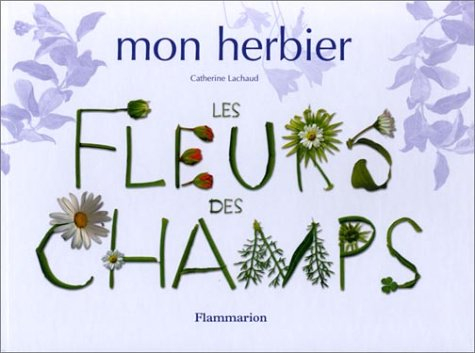 Les fleurs des champs