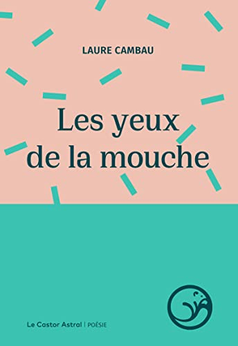 Les yeux de la mouche