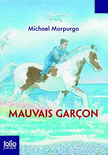 Mauvais garçon