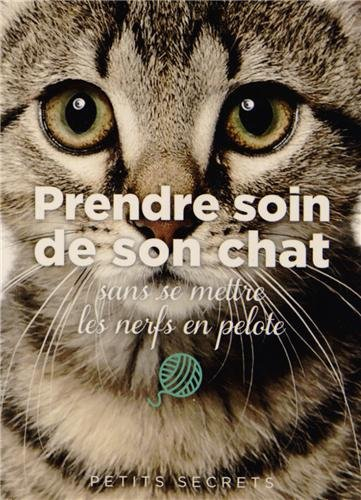 Prendre soin de son chat : sans se mettre les nerfs en pelote