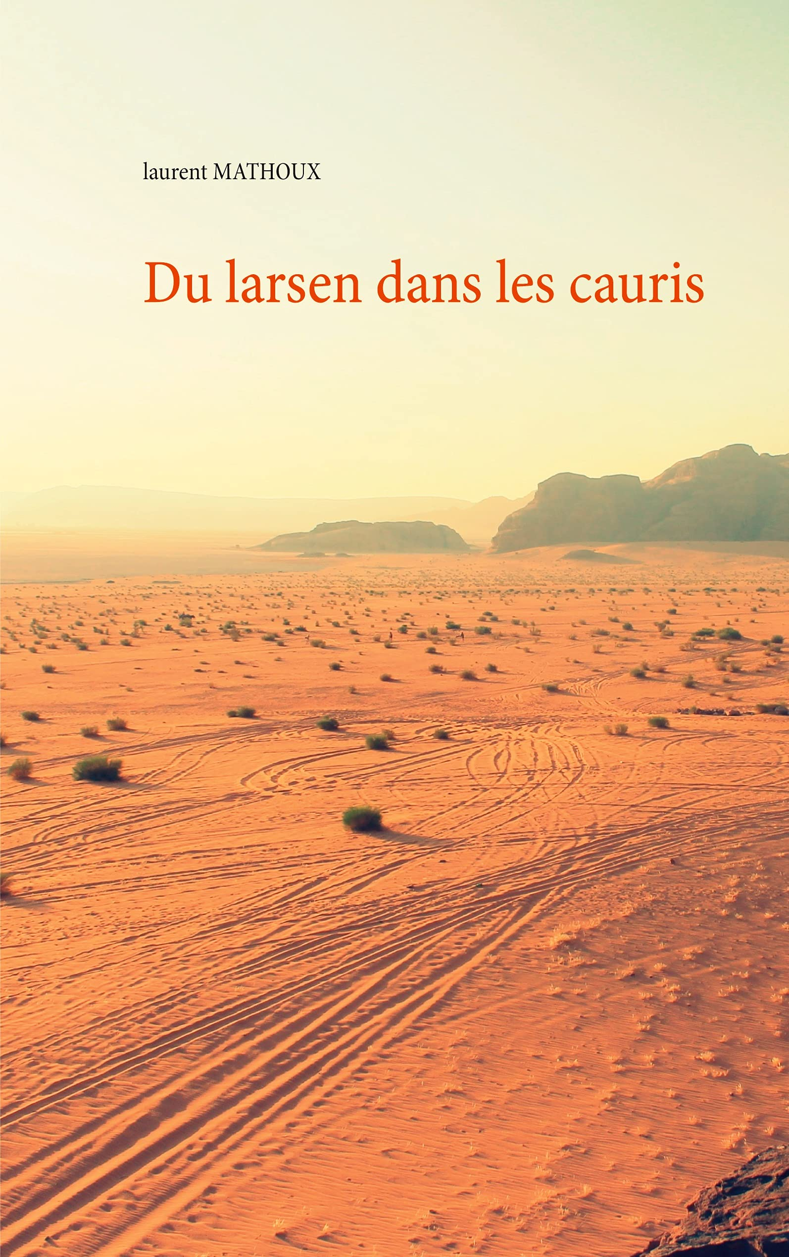 Du larsen dans les cauris