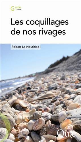 Les coquillages de nos rivages