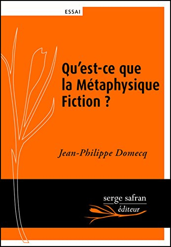qu'est-ce que la métaphysique fiction ?