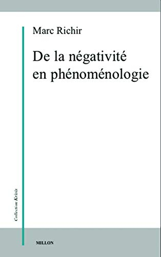 De la négativité en phénoménologie