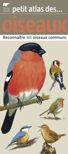 Petit atlas des oiseaux : reconnaître 80 oiseaux communs