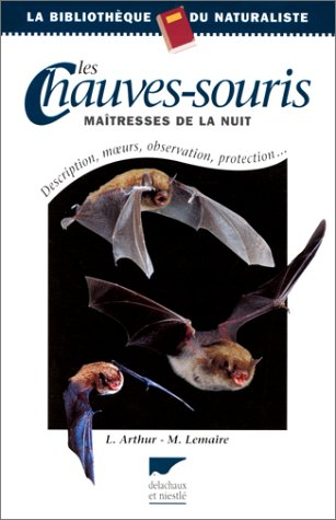 les chauves-souris : maîtresses de la nuit