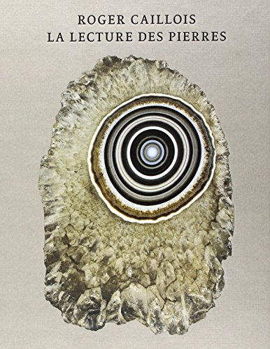 la lecture des pierres : pierres , l'écriture des pierres , agates paradoxales