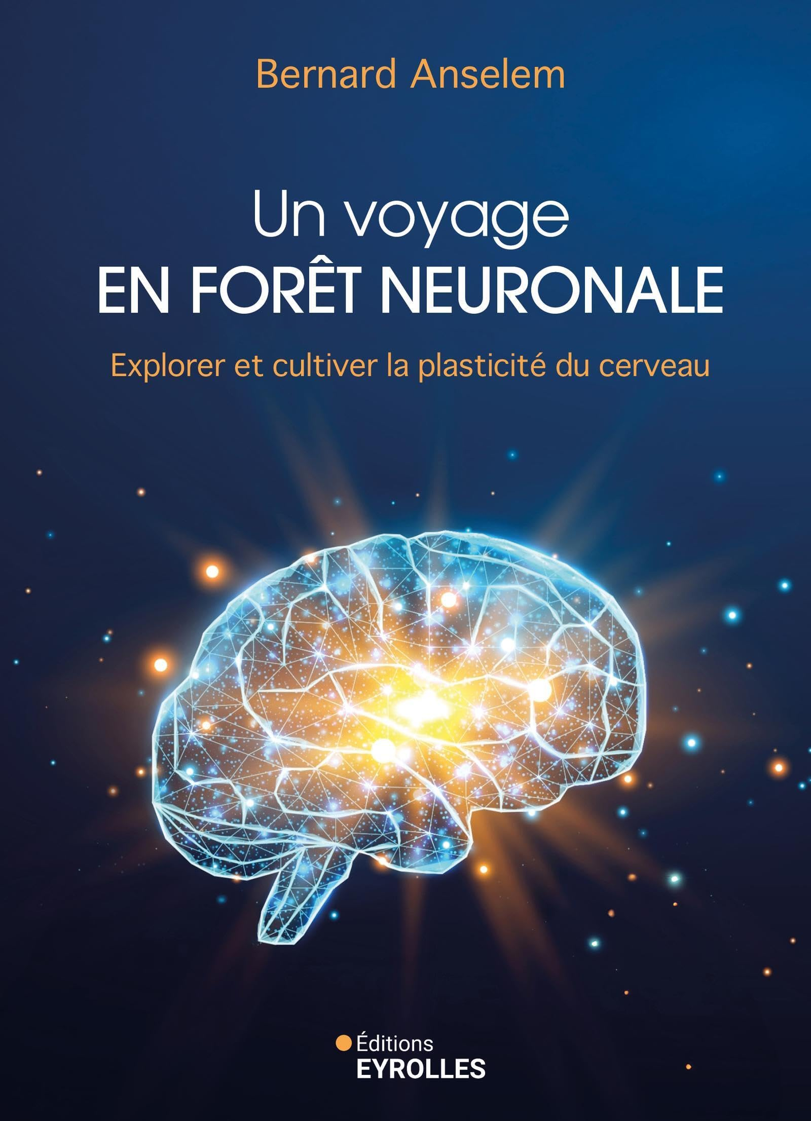 Un voyage en forêt neuronale : explorer et cultiver la plasticité du cerveau