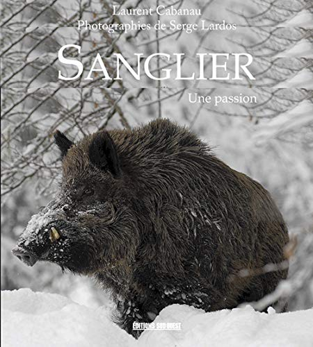 Sangliers : une passion